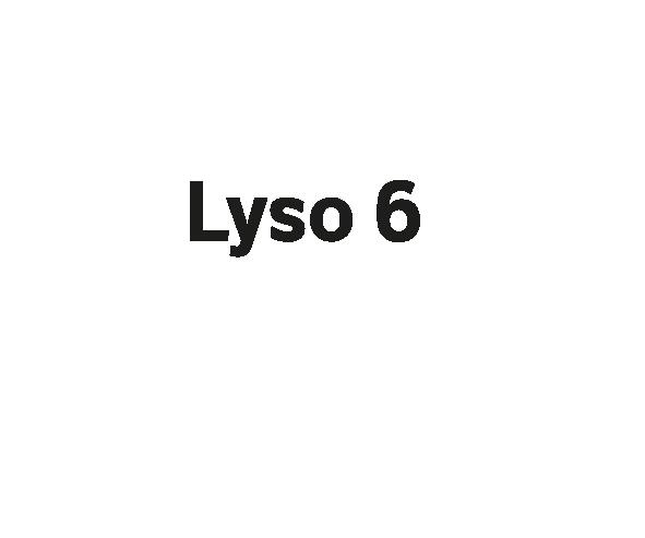 OC_LOGO LYSO_NOIR
